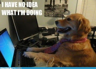 ba8b3-dog-meme-no-idea