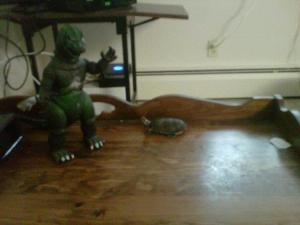 Shelvin vs Godzilla