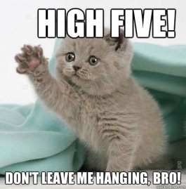 whos awesome high five kitten