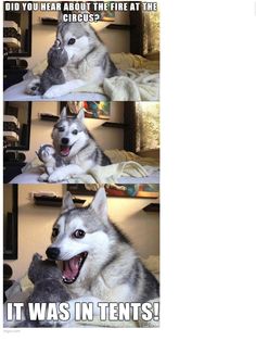 d4674648a72db582fe00fc694019ed6b