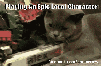 gif dnd epic level cat