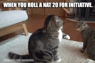 gif dnd initiative cats