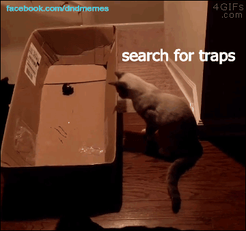 gif dnd traps cats