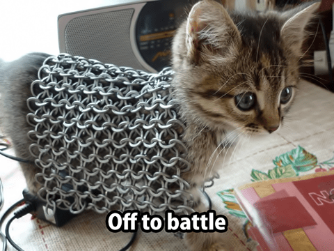 kitten in armor