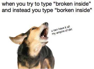 doge-borken-inside