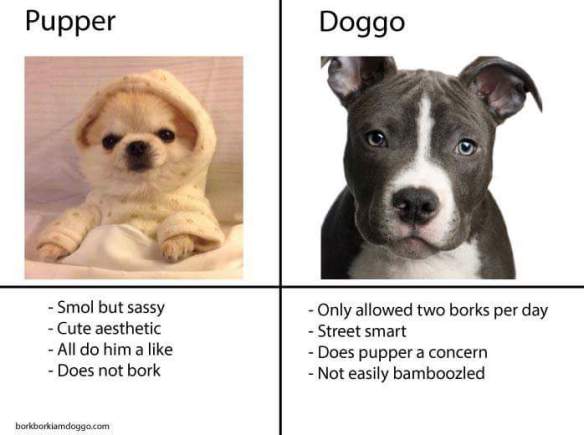 fb_img_1480885128369