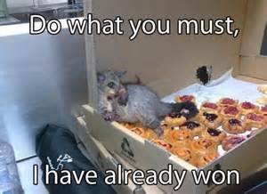 pizza rat won
